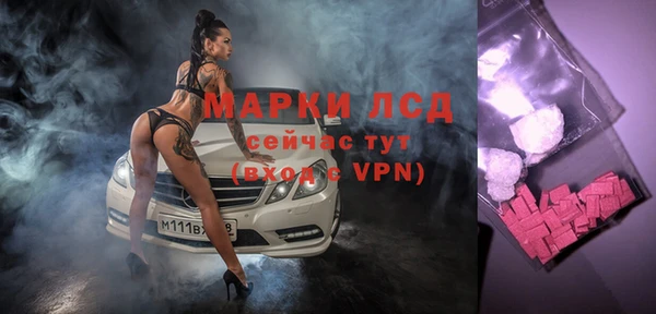 прущий лед Вяземский