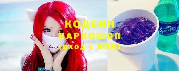 прущий лед Вяземский