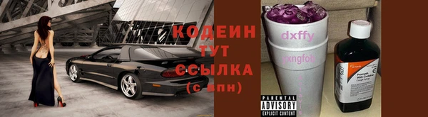 прущий лед Вяземский