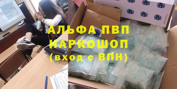 прущий лед Вяземский