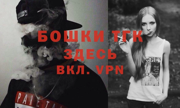 прущий лед Вяземский