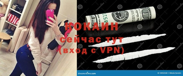 прущий лед Вяземский